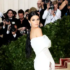 kendall jenner met gala red carpet secrets