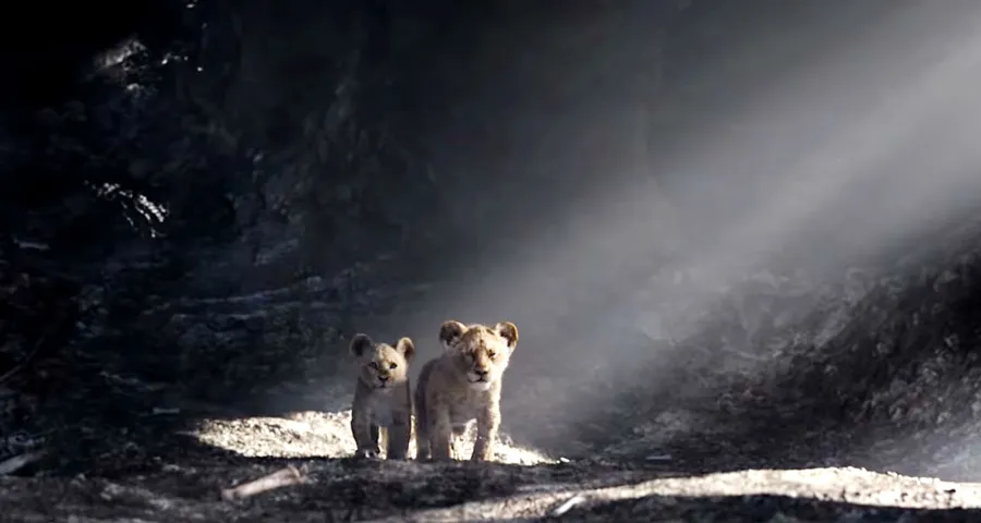 Can’t Miss Summer Movie Preview