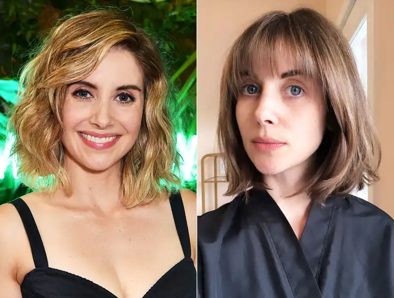Alison Brie From Blonde to Brunette