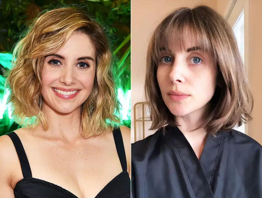 Alison Brie From Blonde to Brunette
