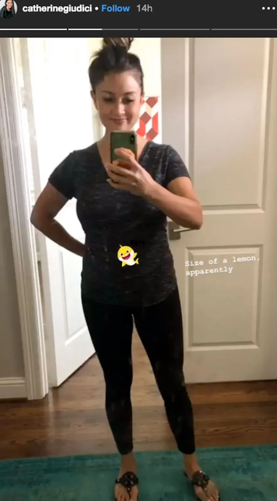 Catherine Giudici Shows Off Baby Bump 1 Week After Pregnancy Announcement &lsquo;Size of a Lemon&rsquo; Instagram Story