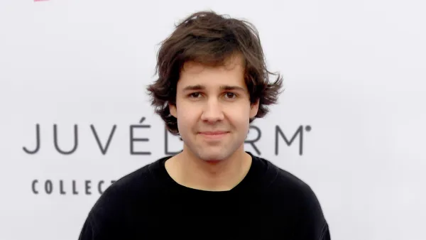 David Dobrik Files for Divorce From Best Friend's Mom