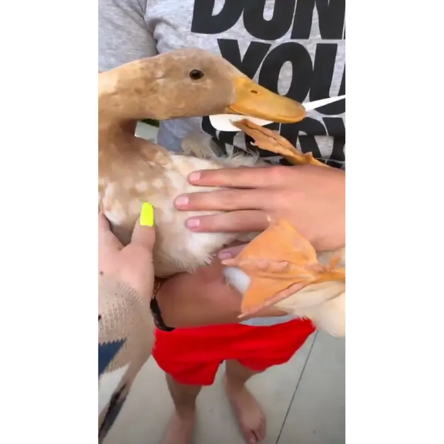 Gwen-Stefani-Celebrates-BF-Blake-Shelton's-Birthday