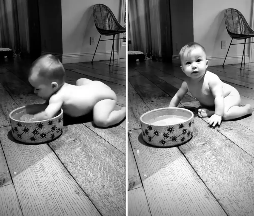 Hilary-Duff&rsquo;s-Daughter-Banks-Playing-in-Dog&rsquo;s-Water-Bowl