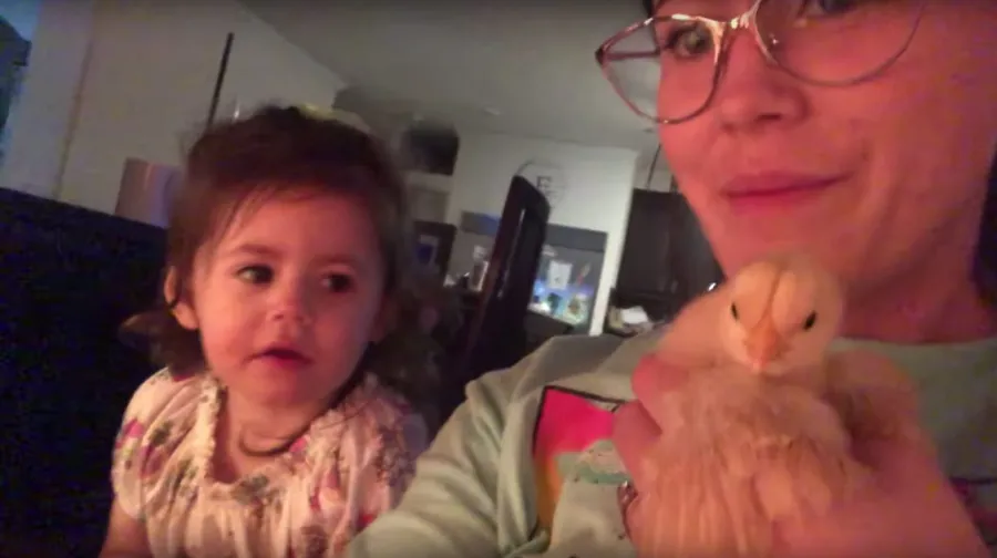 Jenelle Evans Posts Video of David Eason, Kids on Her Farm With Dog Nugget Amid Custody Battle