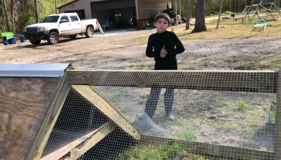 Jenelle Evans Posts Video of David Eason, Kids on Her Farm With Dog Nugget Amid Custody Battle