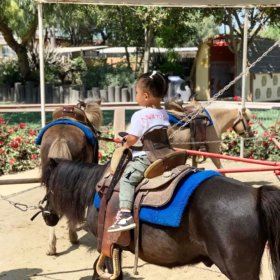 Fathers Day 2019 New Stormi Pics