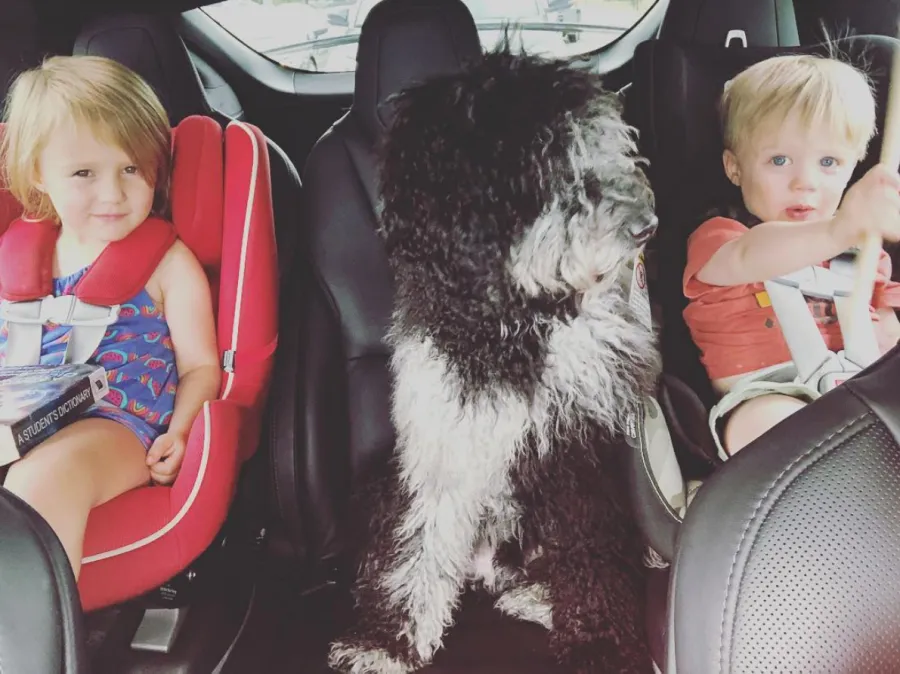 On-the-Move-kelly-clarkson