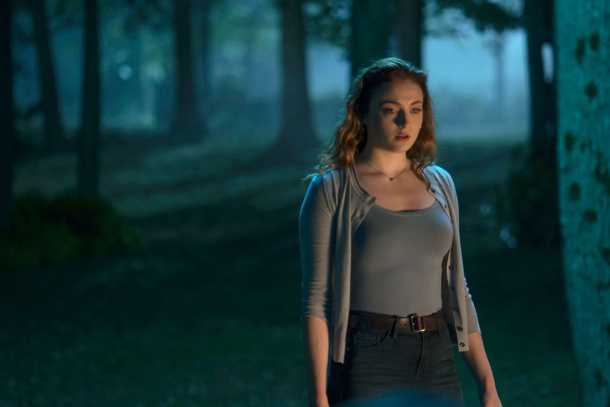 Sophie Turner Study Mental Illness for Dark Phoenix