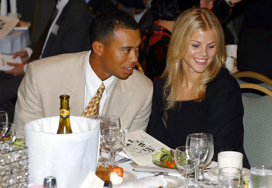 Tiger Woods Elin Nordegren Quotes Coparenting