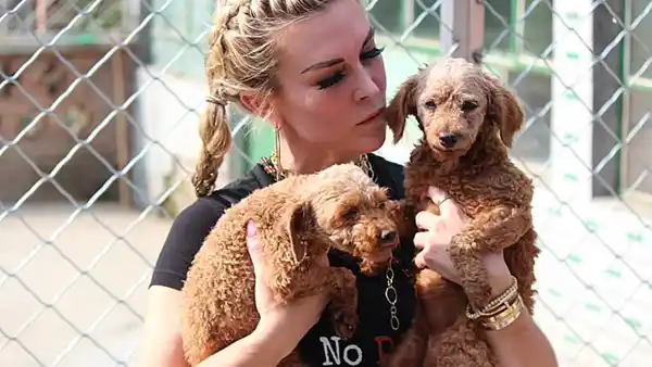 Tinsley Mortimer Dog Rescue