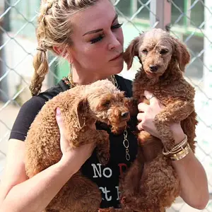 Tinsley Mortimer Dog Rescue