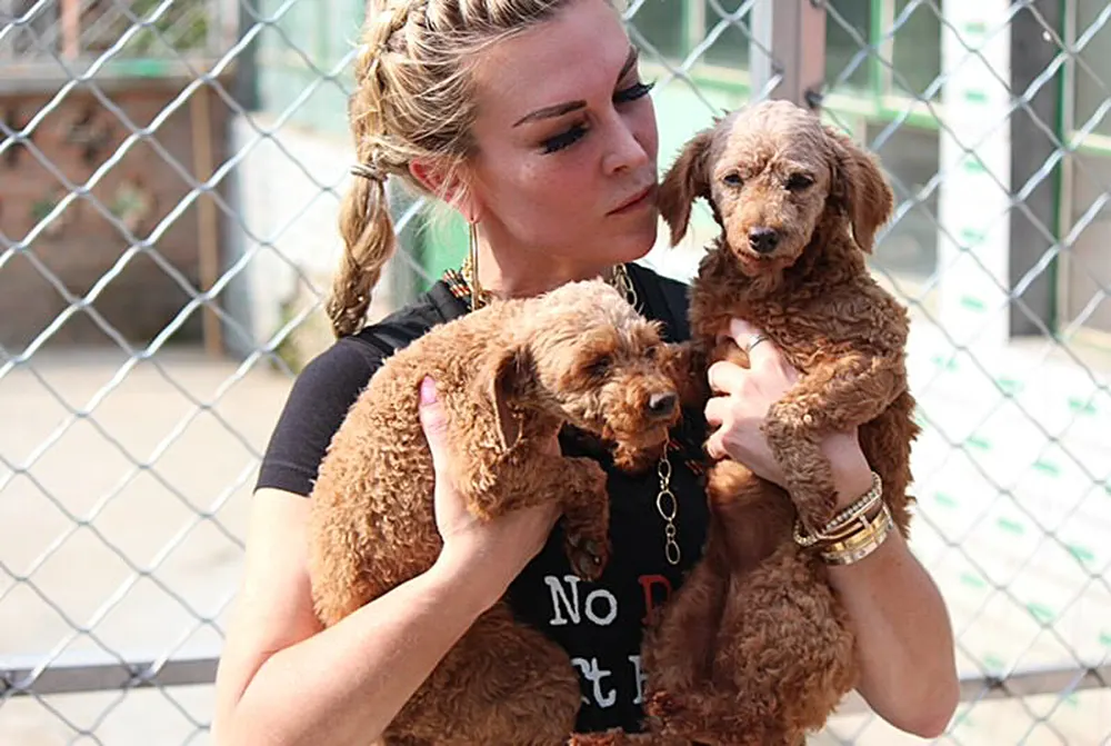 Tinsley Mortimer Dog Rescue