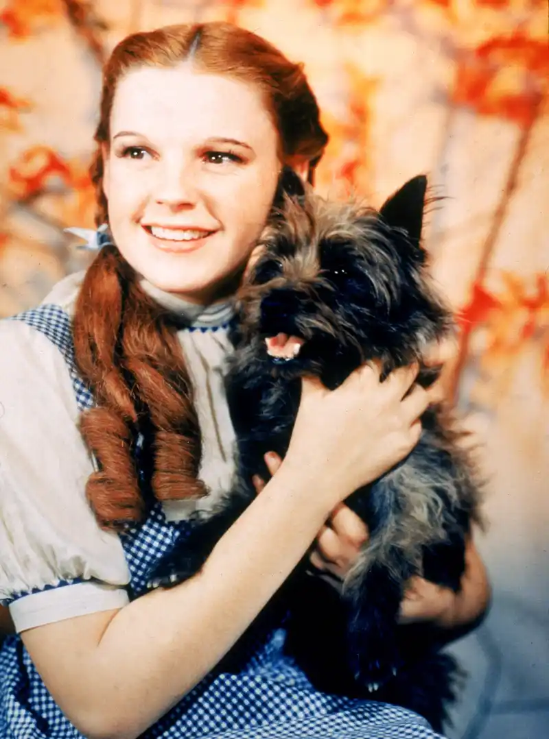 50 Years Without Judy Garland Revisit Her Most Iconic Moments