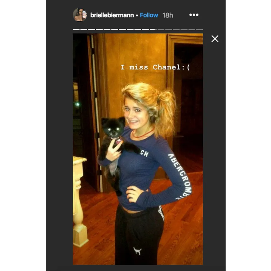 Brielle Biermann Clapbacks