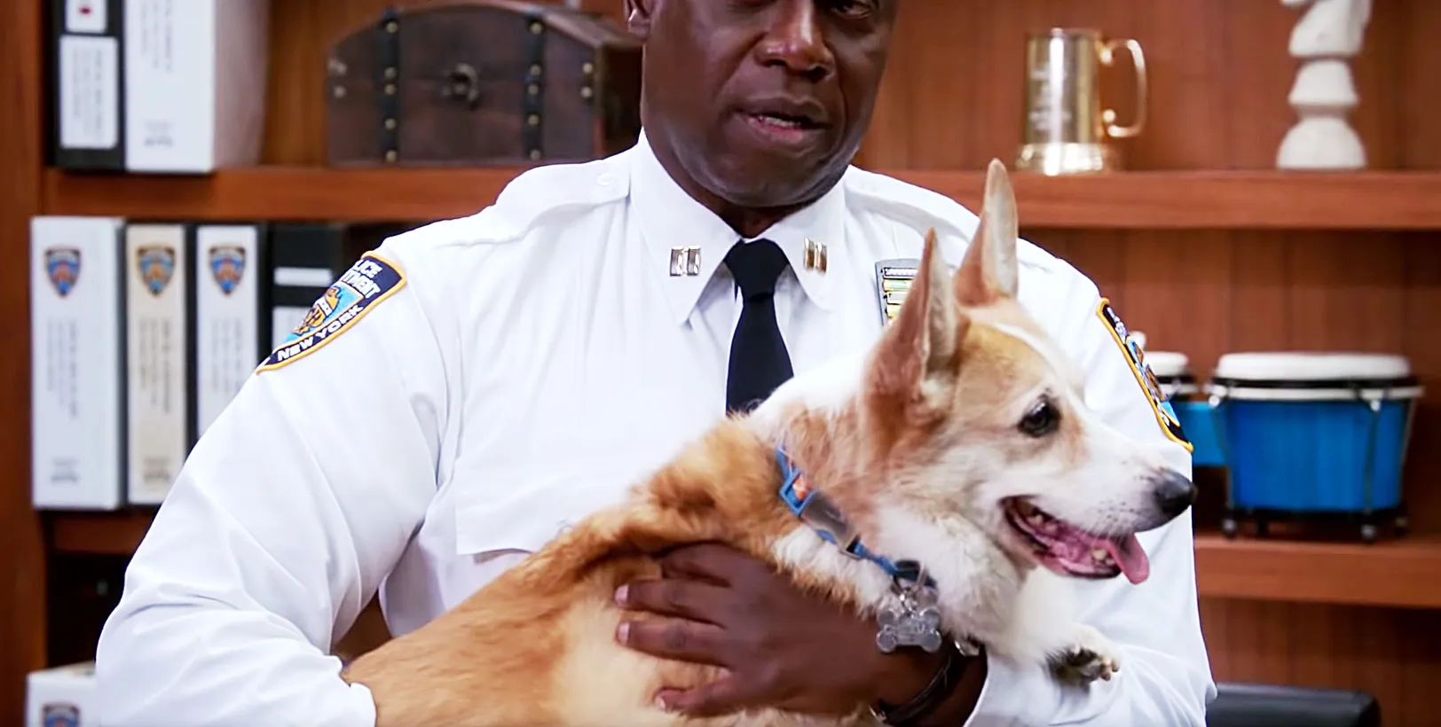Brooklyn Nine-Nine's Beloved Cheddar the Dog Dies