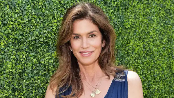 Cindy Crawford Navy Dress