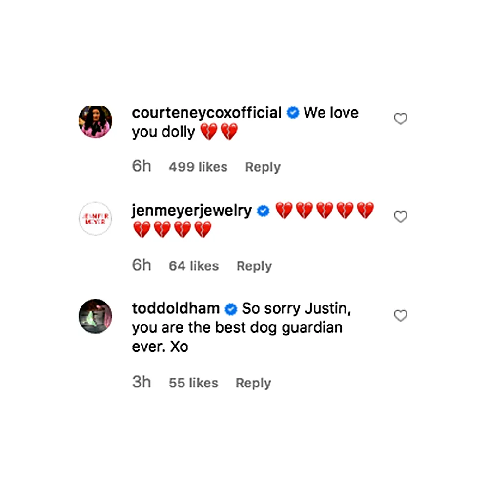Courteney Cox Posts Sweet Message After Jennifer Aniston&rsquo;s Dog Dies Justin Theoroux