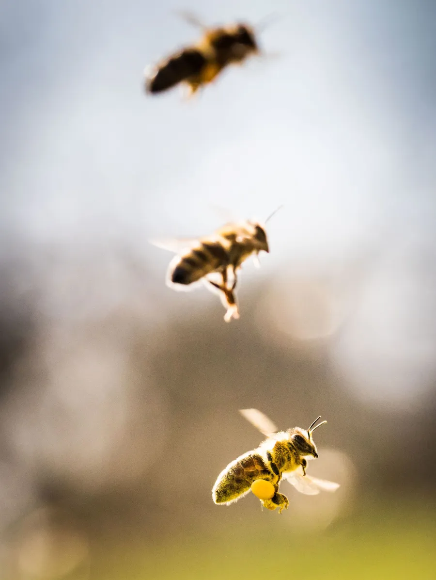 Gwyneth Paltrow's Most Eye-Raising Goop Moments