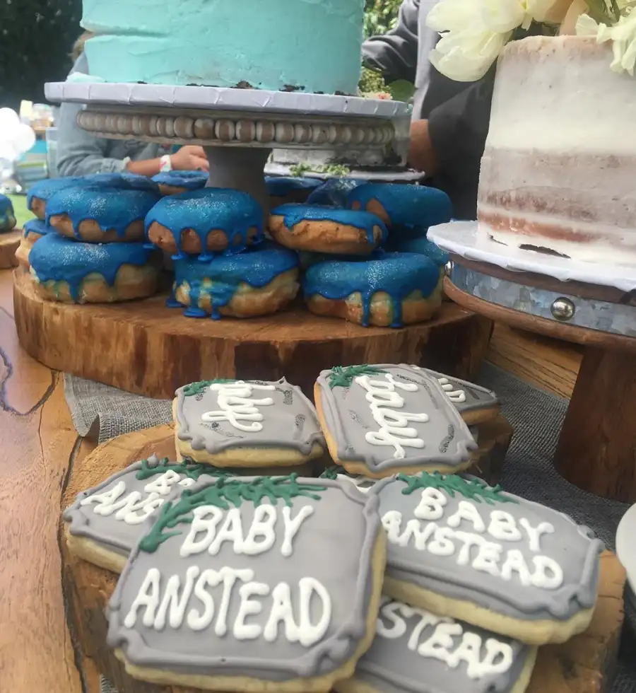 Pregnant Christina Anstead Baby Shower