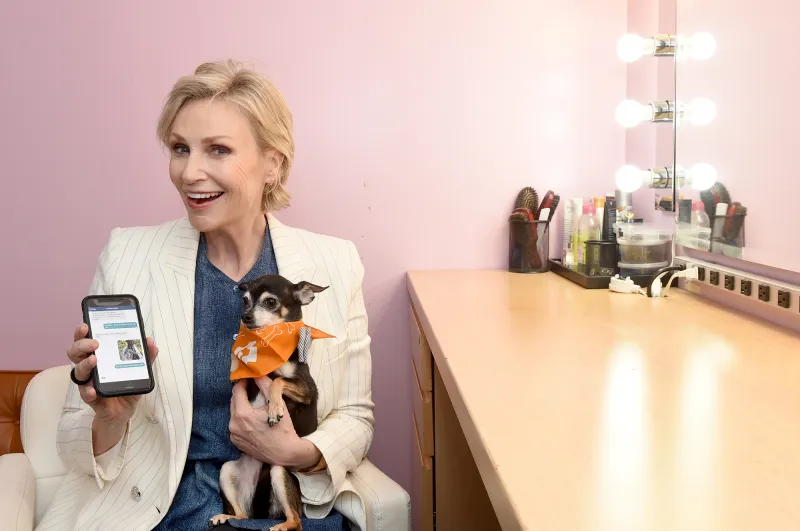 Jane Lynch is Just Like Us Lets Dogs Sleep In Bed