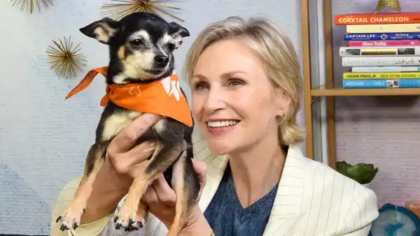 Jane Lynch is Just Like Us Lets Dogs Sleep In Bed