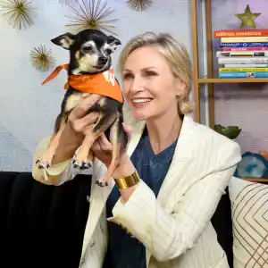 Jane Lynch is Just Like Us Lets Dogs Sleep In Bed