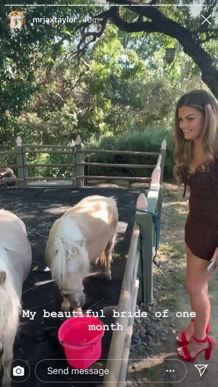 Jax Taylor Little Horses Red Heels Vanderpump Rules Stassi Schroeder and Beau Clark on Their Engagement