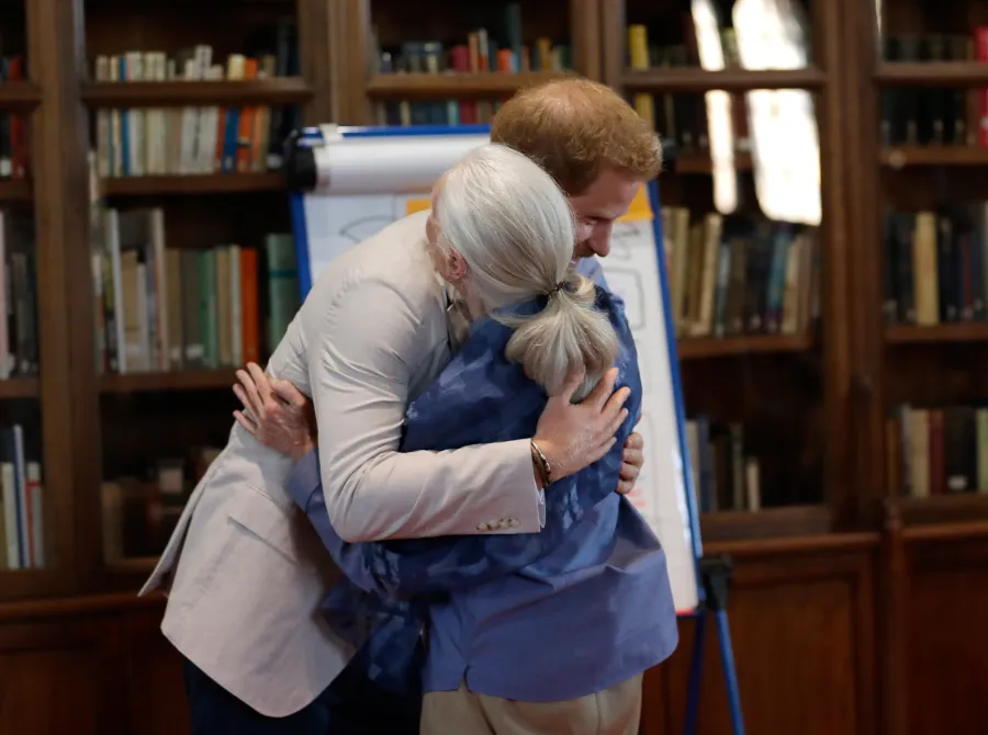 Prince Harry Shares Sweet Dance With Jane Goodall