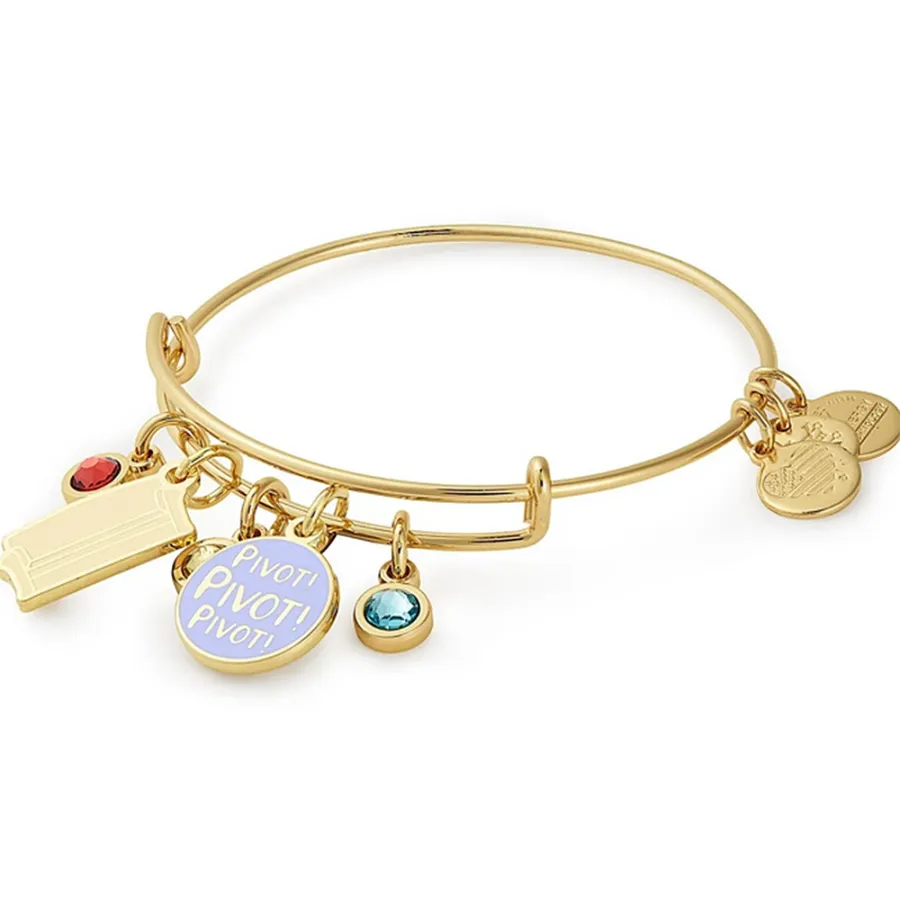 Alex and Ani Friends Collection - Pivot!