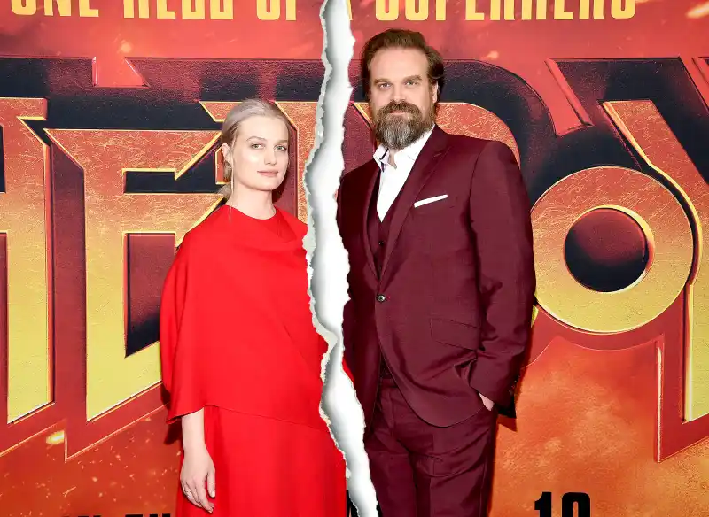 David-Harbour-and-GF-Alison-Sudol-Split