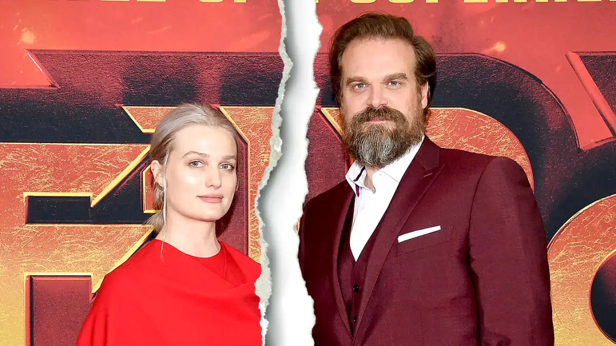 David-Harbour-and-GF-Alison-Sudol-Split