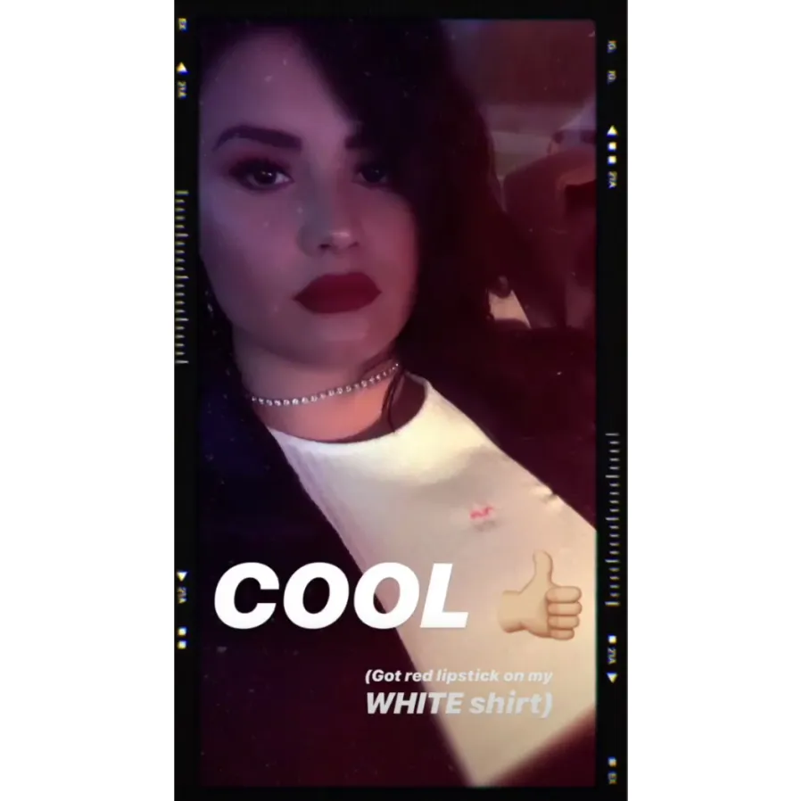 Demi-Lovato-27th-Birthday-at-Ariana-Grande-Concert