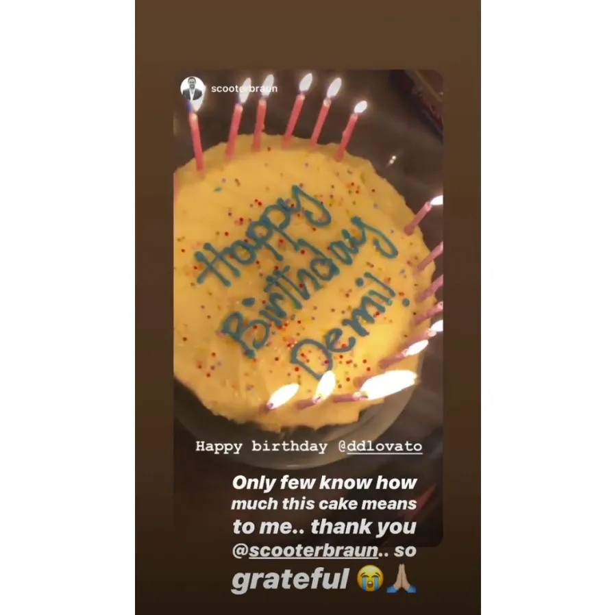 Demi-Lovato-27th-Birthday-at-Ariana-Grande-Concert