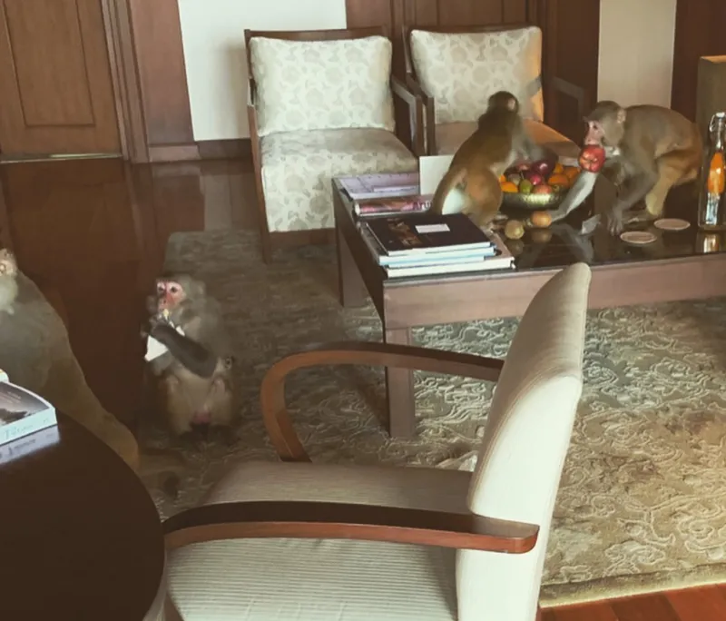 Emilia-Clarke-and-Rose-Leslie-Travel-to-India-After-Kit-Harington’s-Treatment-2