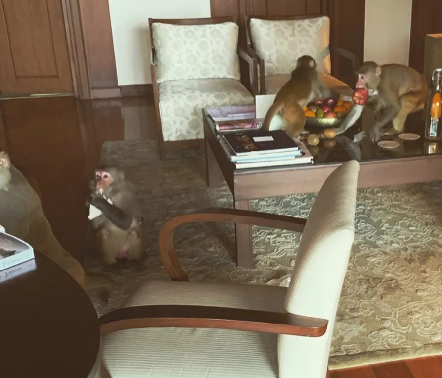 Emilia-Clarke-and-Rose-Leslie-Travel-to-India-After-Kit-Harington’s-Treatment-2