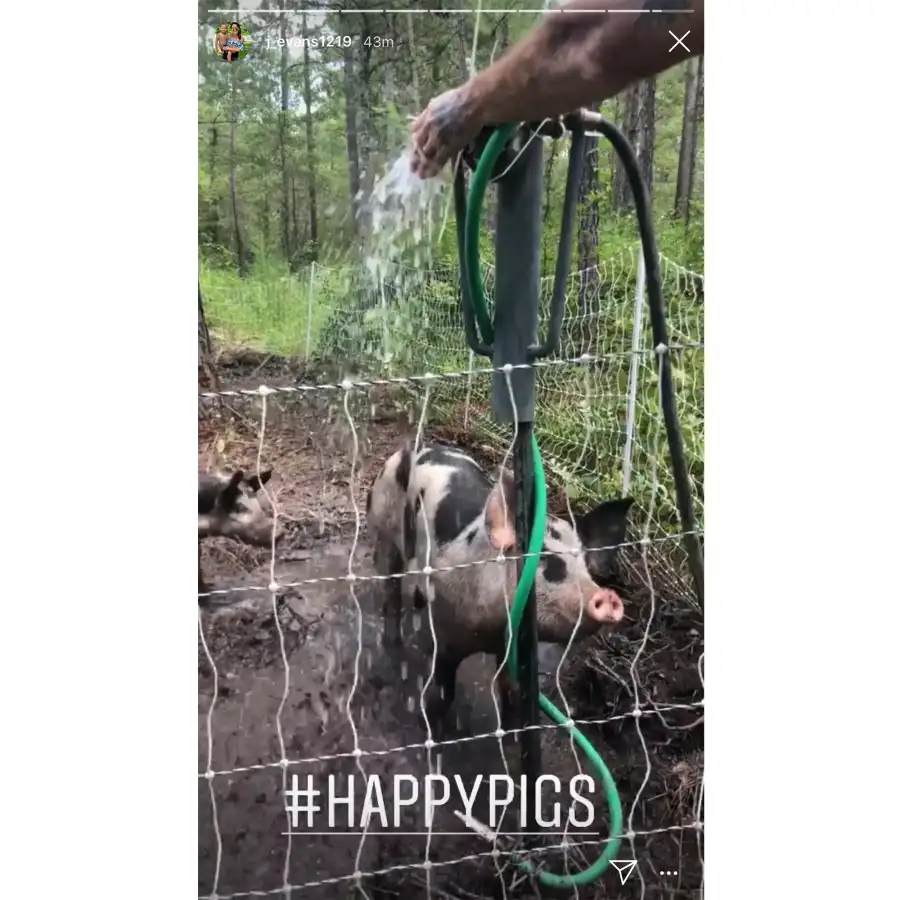 Jenelle Evans Summer Happy Pigs