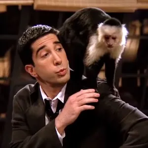 Marcel the Monkey Friends Returning to TV FX Y