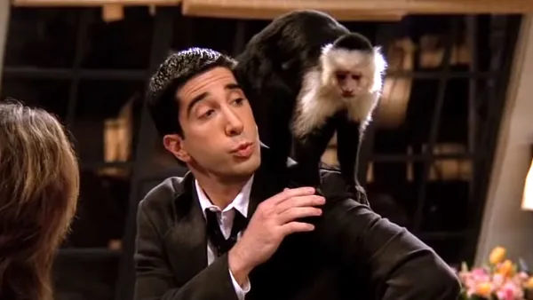 Marcel the Monkey Friends Returning to TV FX Y