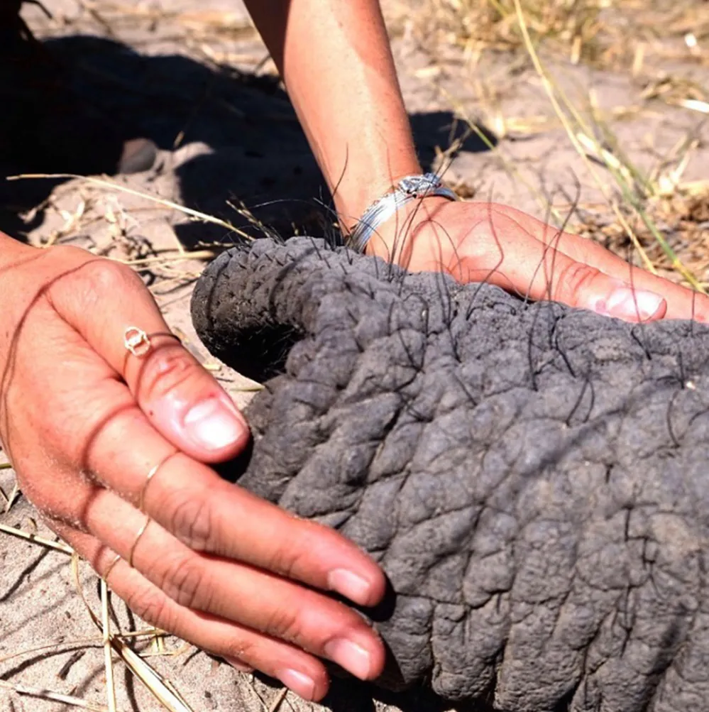 Meghan Markle Hamsa Ring Instagram August 12, 2019