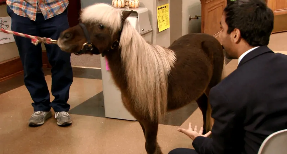 Parks and Rec Themed Bar to Open in Chicago