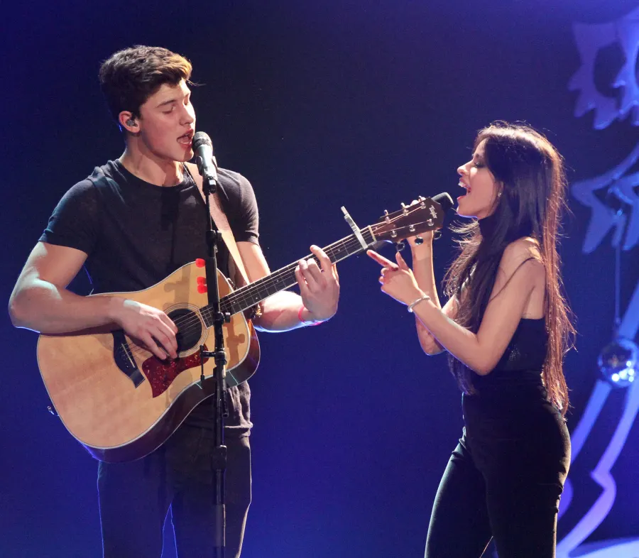 Shawn Mendes and Camila Cabello Adorable Romance
