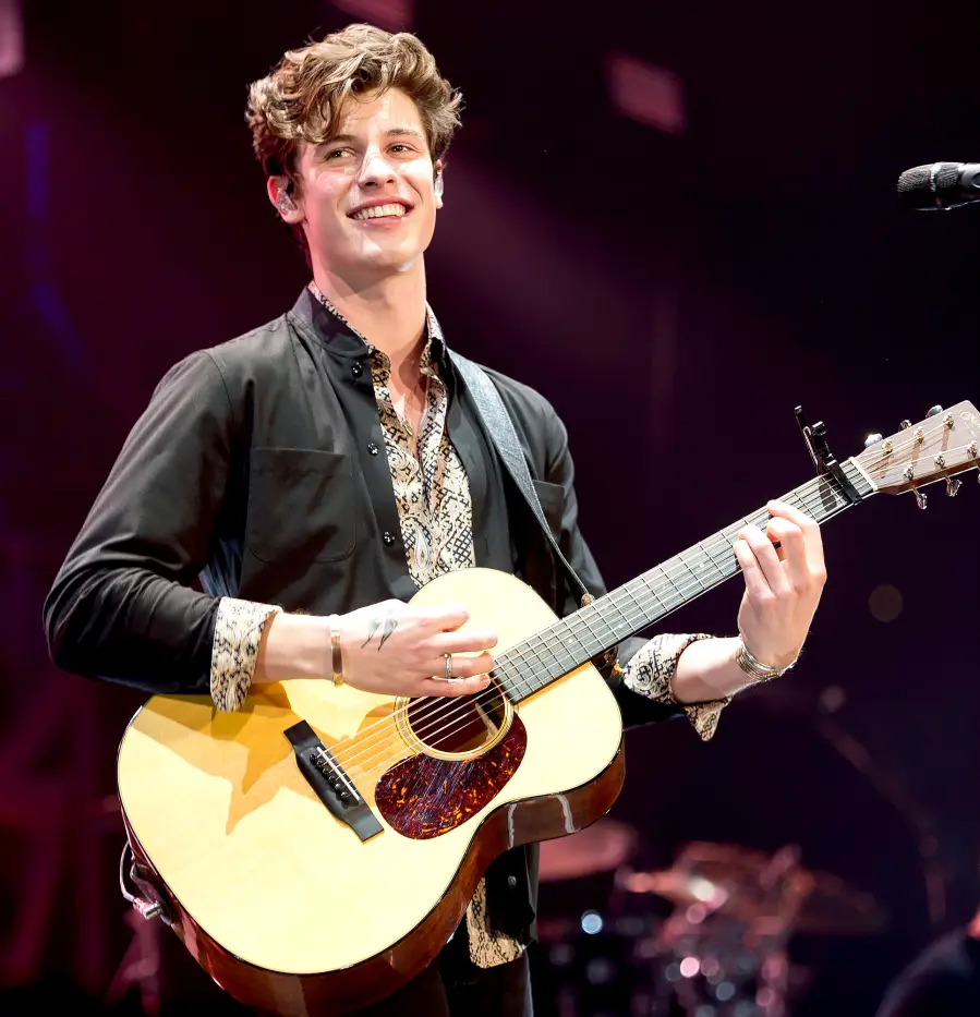 Shawn-Mendes-talks-alcohol-21-birthday-4