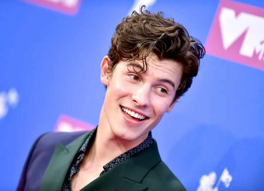Shawn-Mendes-talks-alcohol-21-birthday-6