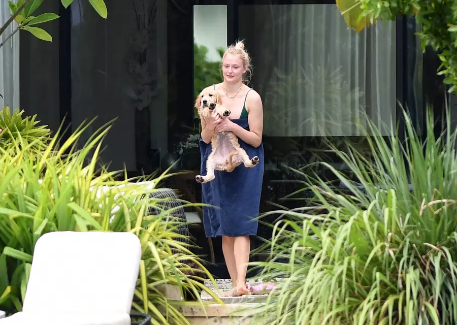 Sophie Turner Cradles New Puppy Weeks After Death of Her and Husband Joe Jonas' Dog