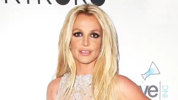 Britney Spears Hollywood Beauty Awards February 25, 2018