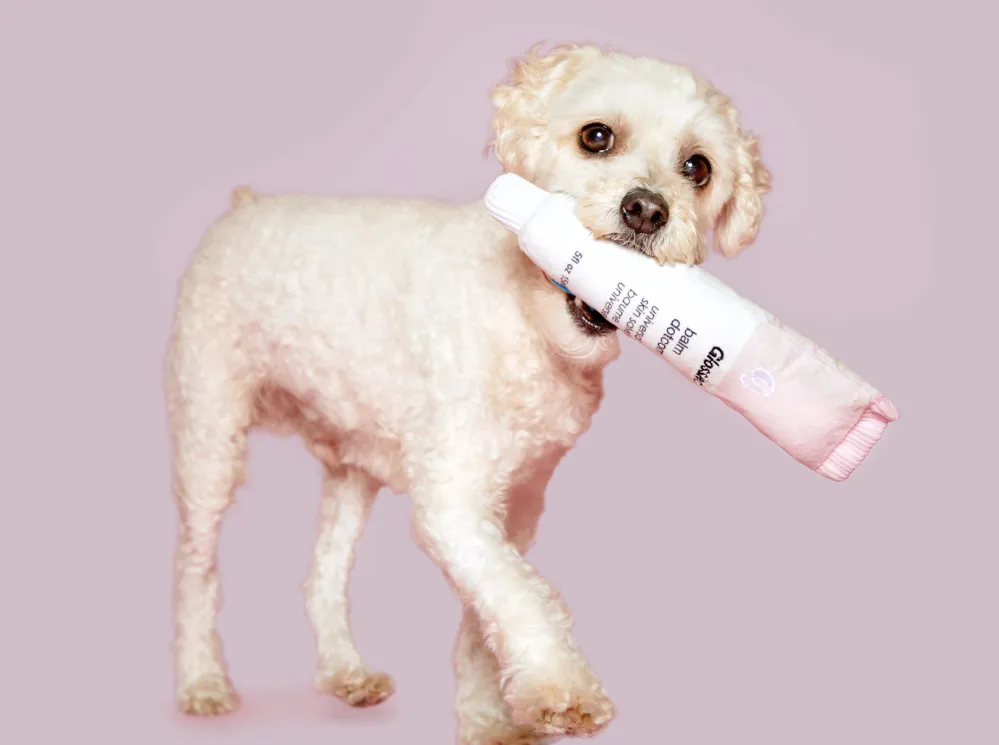 Glossier x BarkBox Collaboration