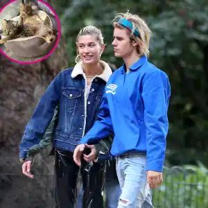 Justin Bieber and Hailey Baldwin Cats and Dog Instagram