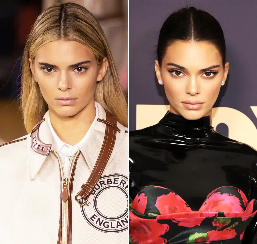 Kendall Jenner Hair Change Blonde to Brunette