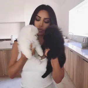 Kim Kardashian Introduces New Pups